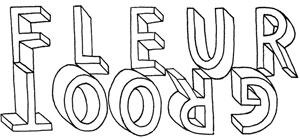 Title of the page in a hand drawn 3D font saying 'Fleur Groot' the 'Groot' is upside down underneath 'Fleur'